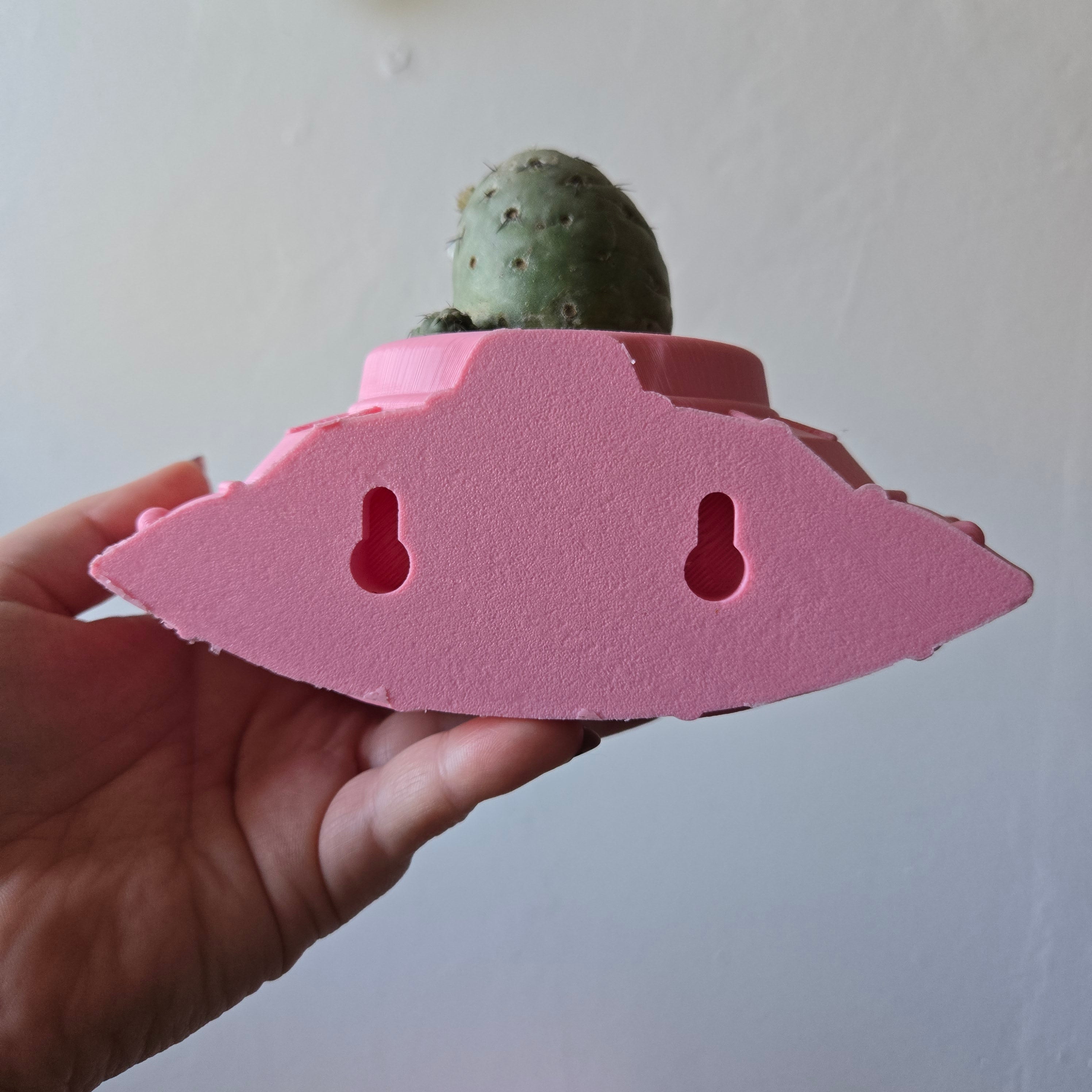 3D Printed UFO Wall Planter CIN, 2 Inch Pot