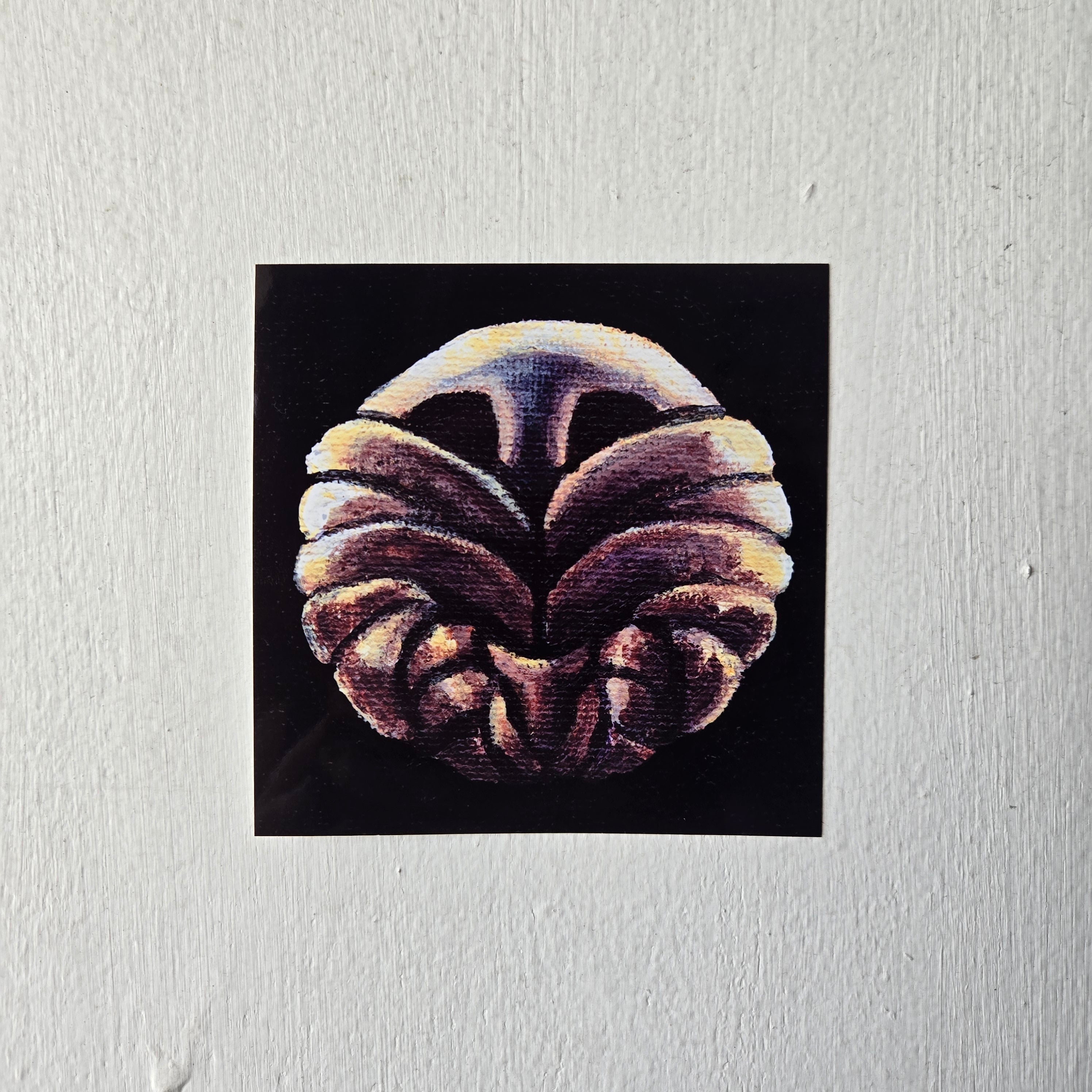 Stalwart Shell, 4 x 4 Inch Print