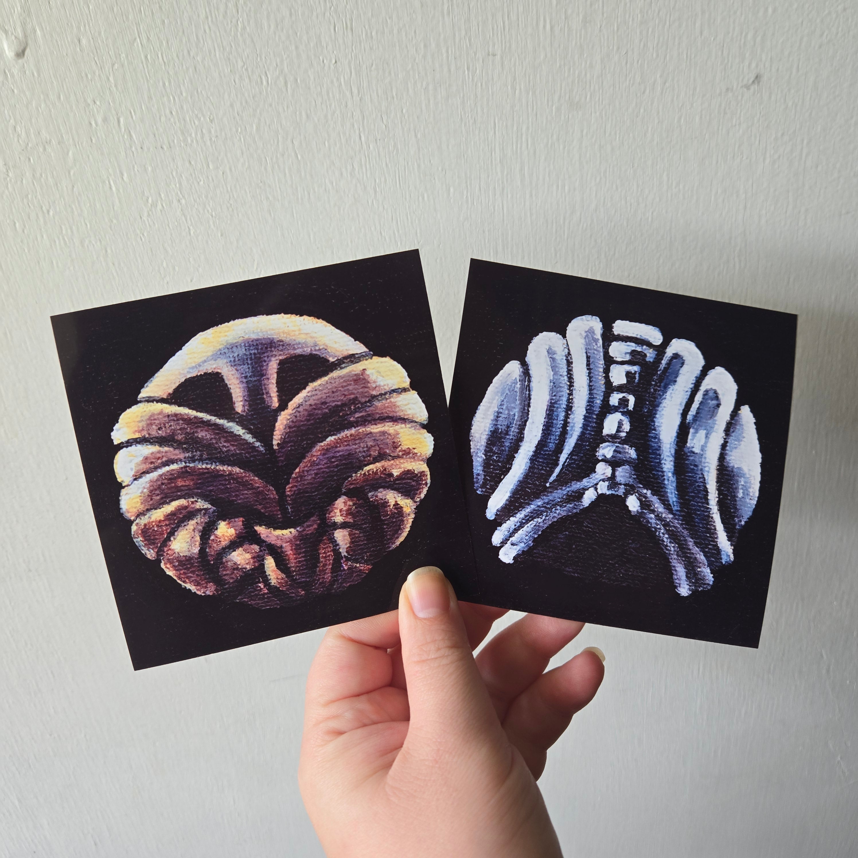 Stalwart Shell, 4 x 4 Inch Print